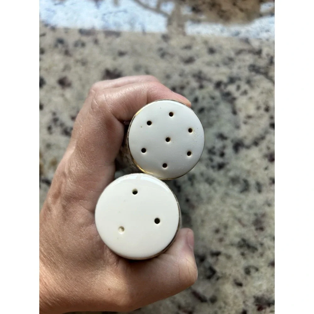 Noritake Somerset Salt & Pepper Japan